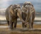 Два больших слонов с переплетаются стволов